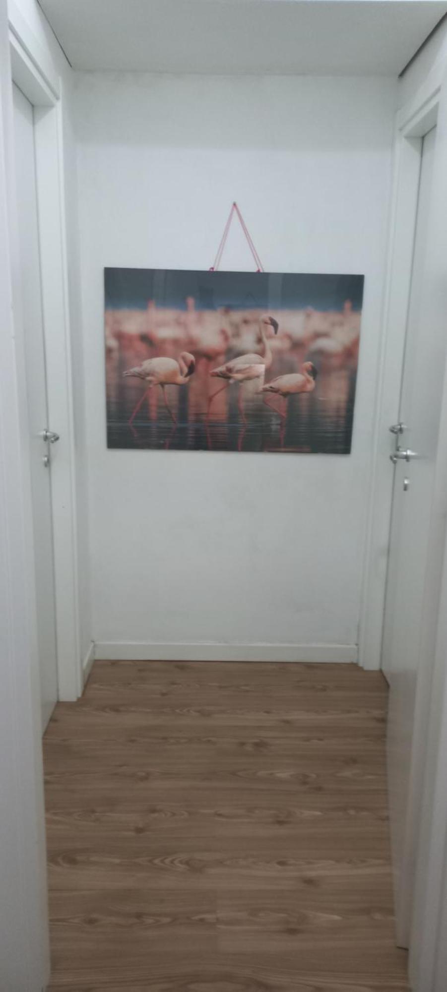 B&B Leo Cagliari Ngoại thất bức ảnh